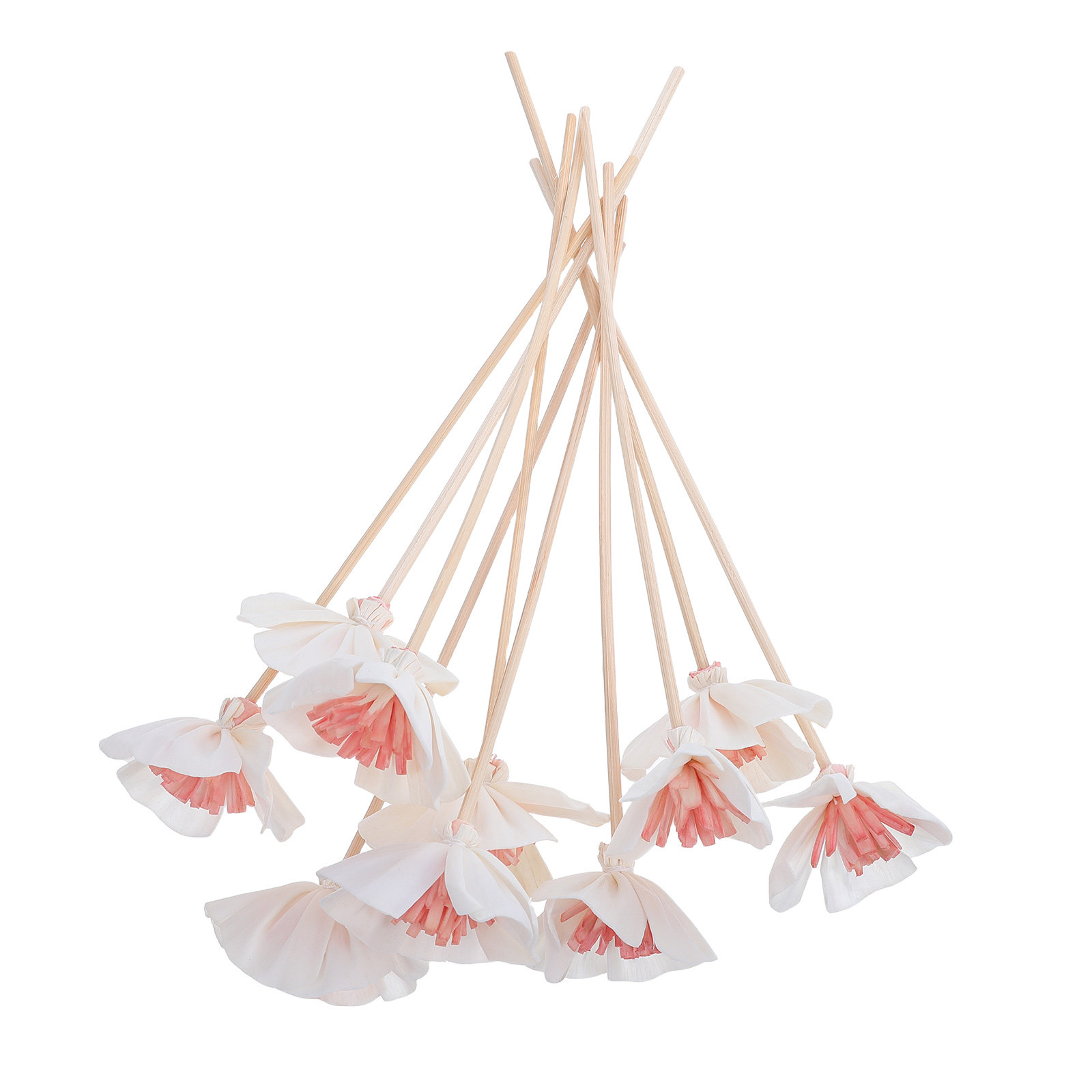 Home Fragrance Essential Oils - 10 stuks etherische olie diffuserstokjes, zwart,