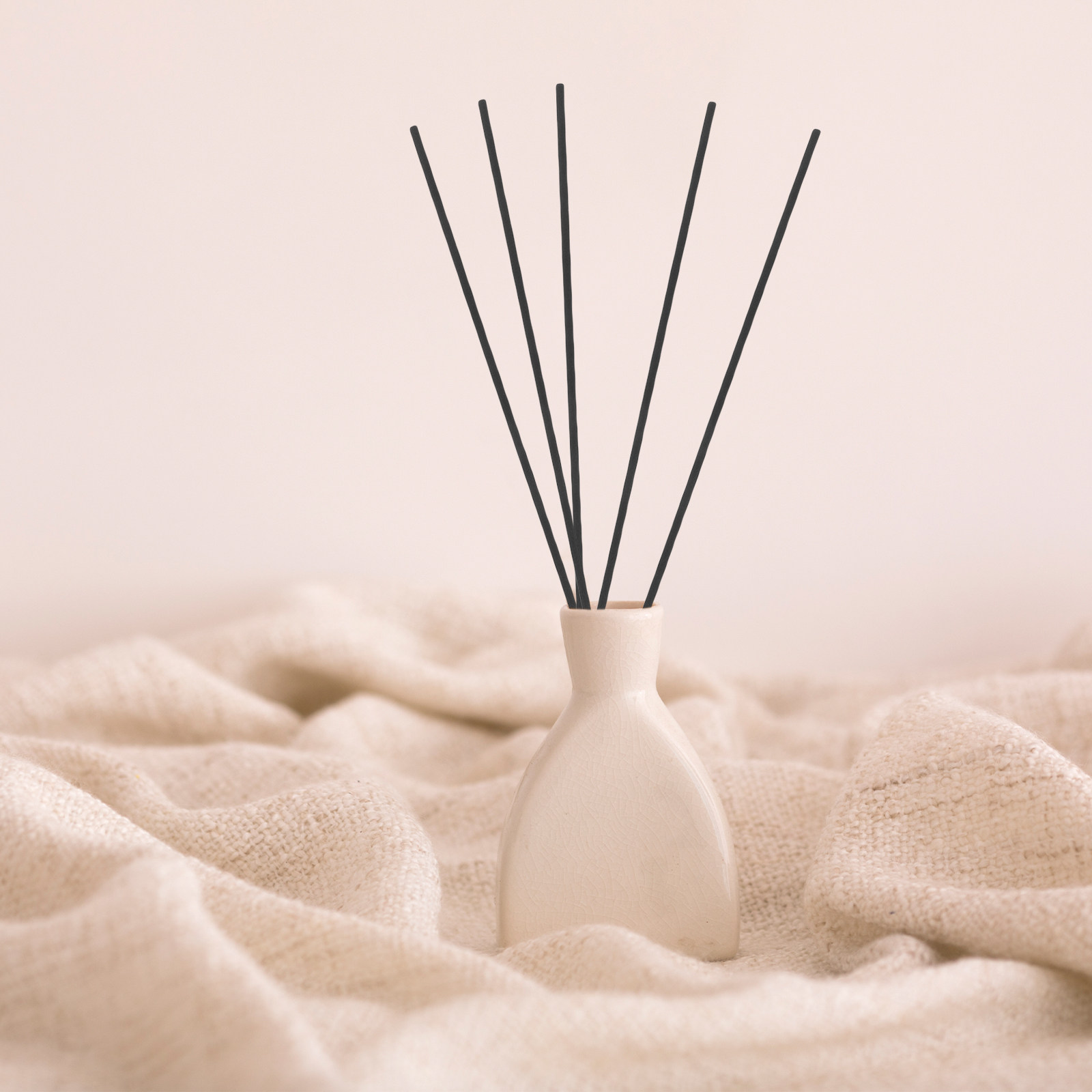 Home Fragrance Essential Oils - 100 Stuks Vezel Riet Diffuser Sticks
