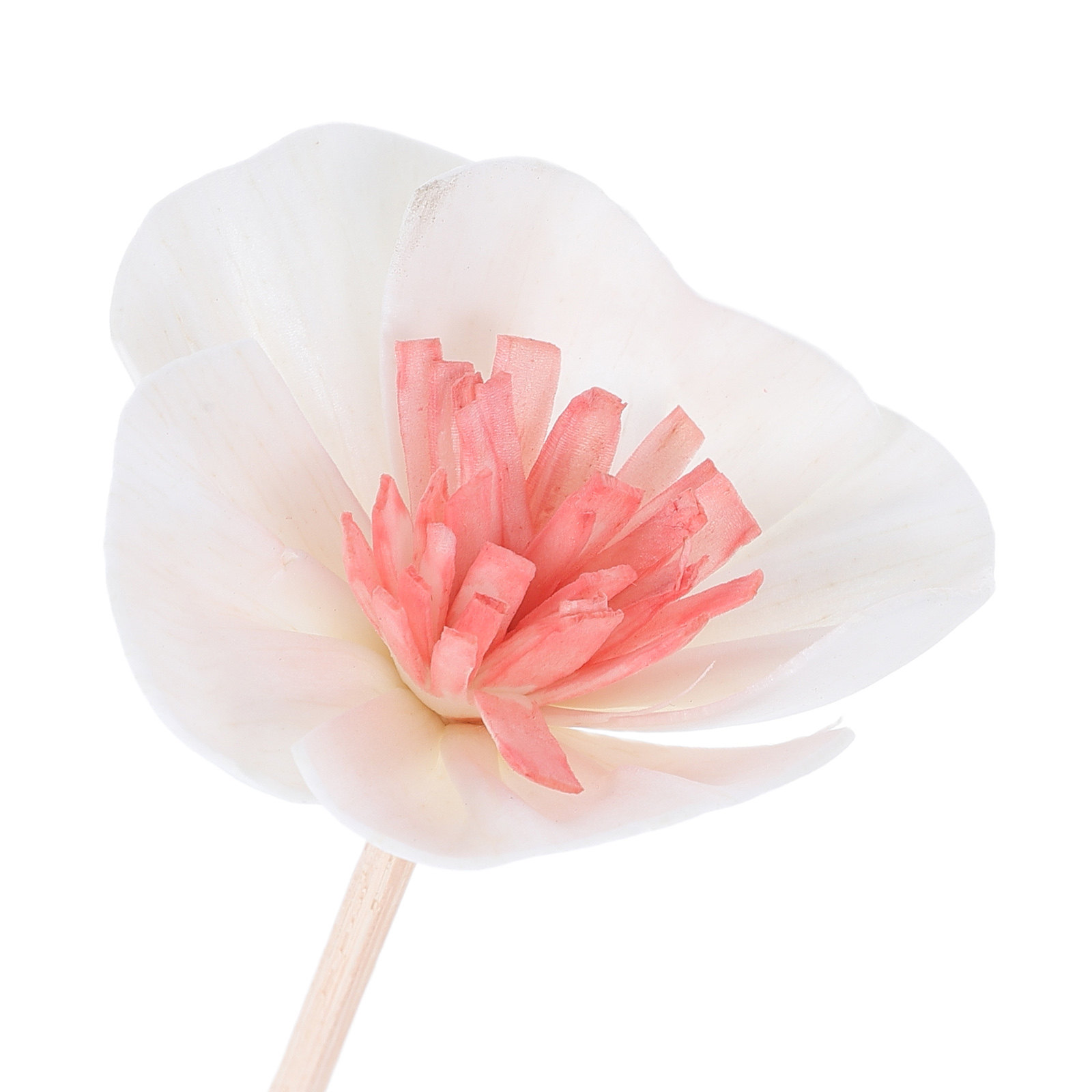 10 stuks etherische olie diffu - Home Fragrance Essential Oils recensie en prijs